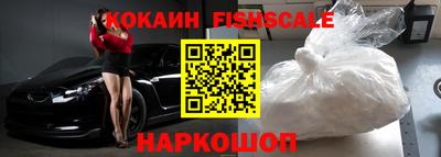 молекула духа Кингисепп