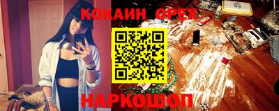 молекула духа Кингисепп