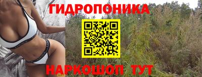 дмт Кимры