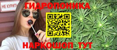 молекула духа Кингисепп