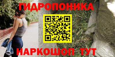 прущие грибы Кудрово