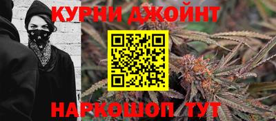 молекула духа Кингисепп