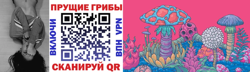 Псилоцибиновые грибы Psilocybine cubensis  Сочи 