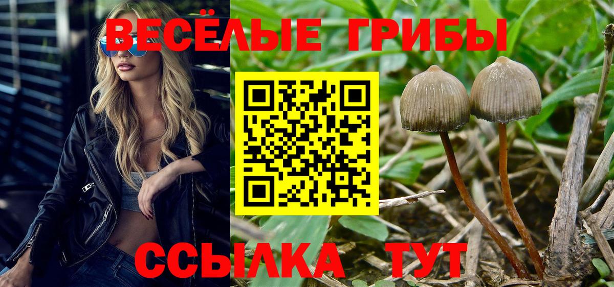 Псилоцибиновые грибы мухоморы Сочи