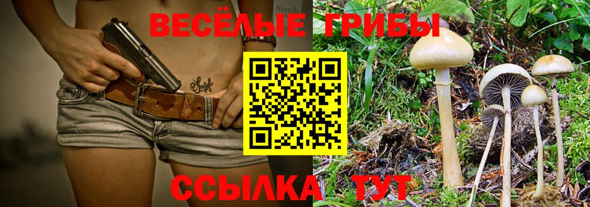 Сочи  Галлюциногенные грибы мухоморы  Вход с VPN  Псилоцибиновые грибы Magic Shrooms 